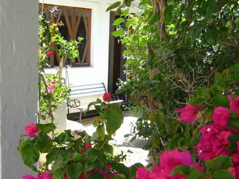Alternative Space B & B Swakopmund Ngoại thất bức ảnh