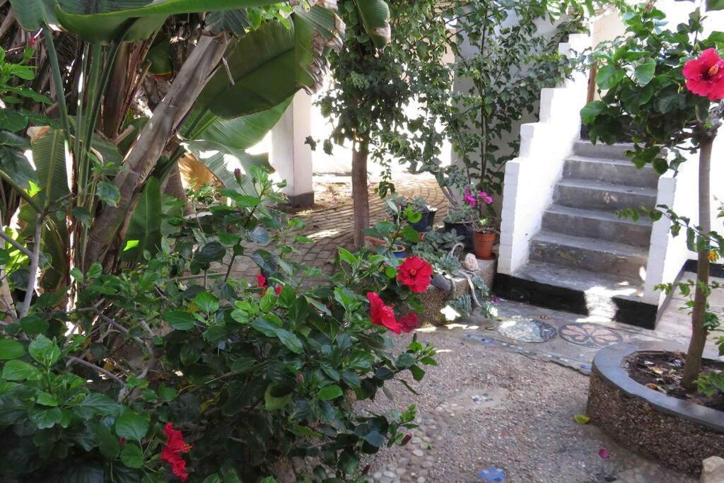 Alternative Space B & B Swakopmund Ngoại thất bức ảnh