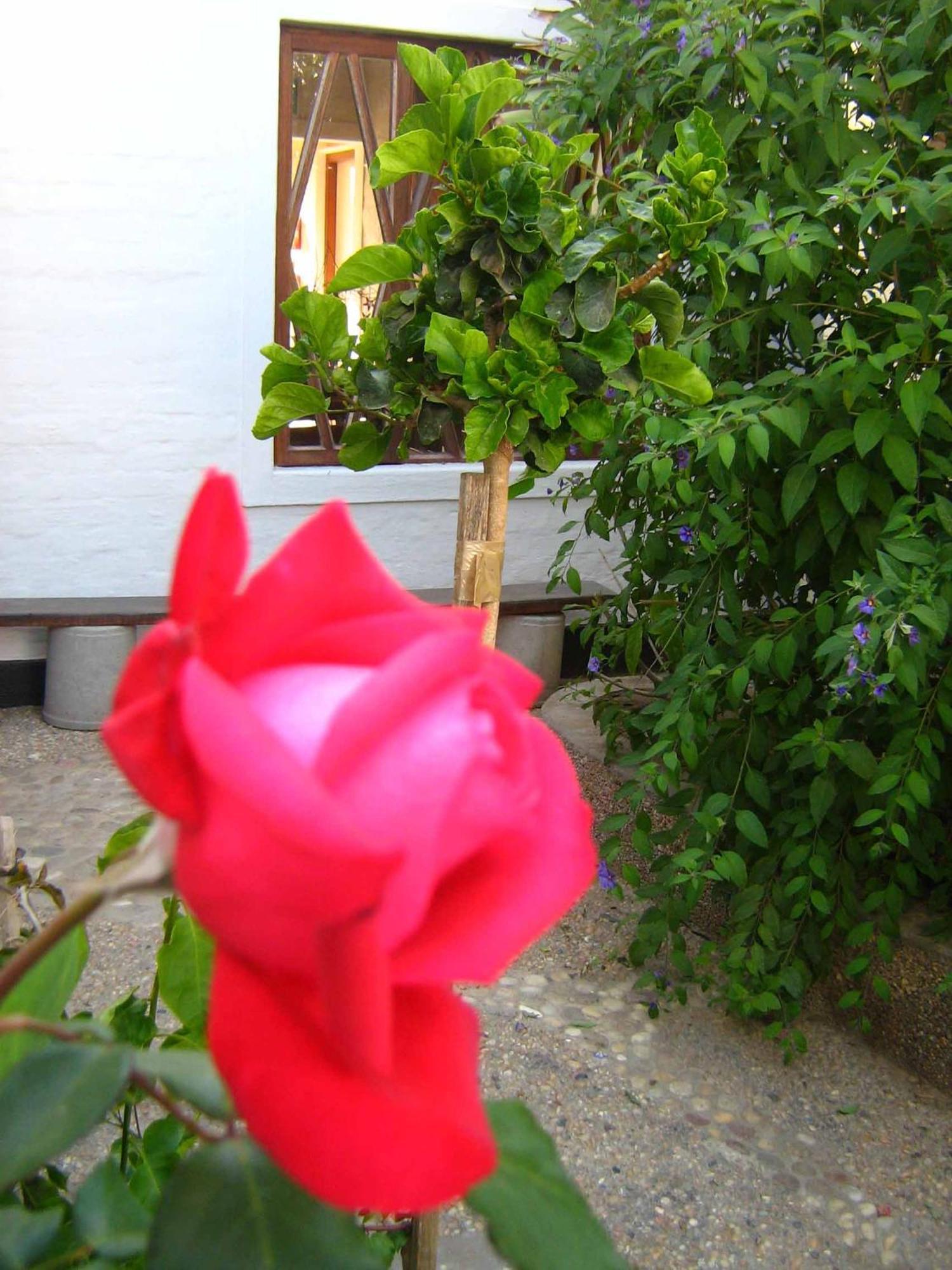 Alternative Space B & B Swakopmund Ngoại thất bức ảnh