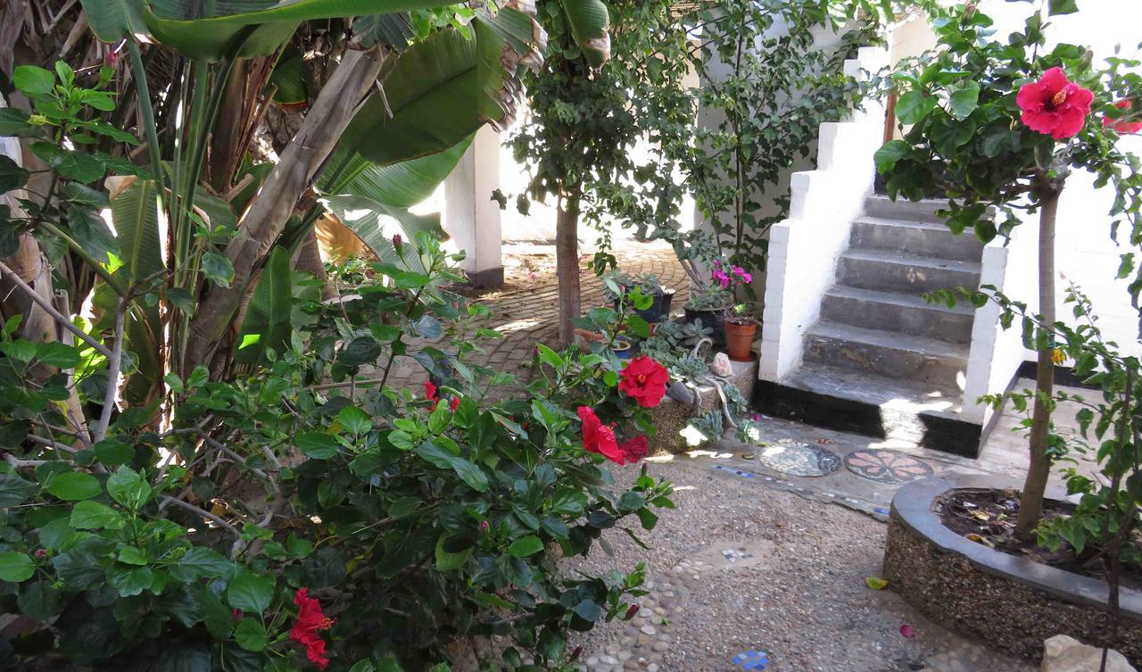 Alternative Space B & B Swakopmund Ngoại thất bức ảnh